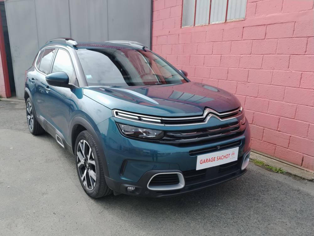 SITE IMG_20260316_131016