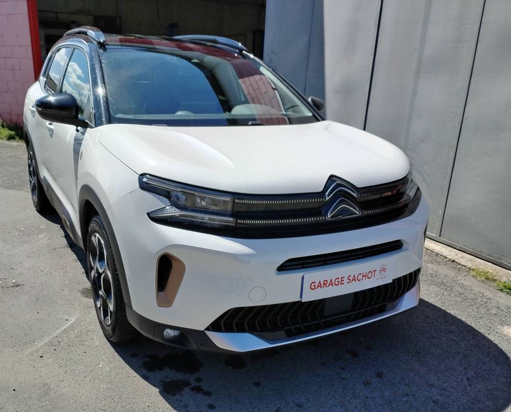 SITE IMG_20260416_135904